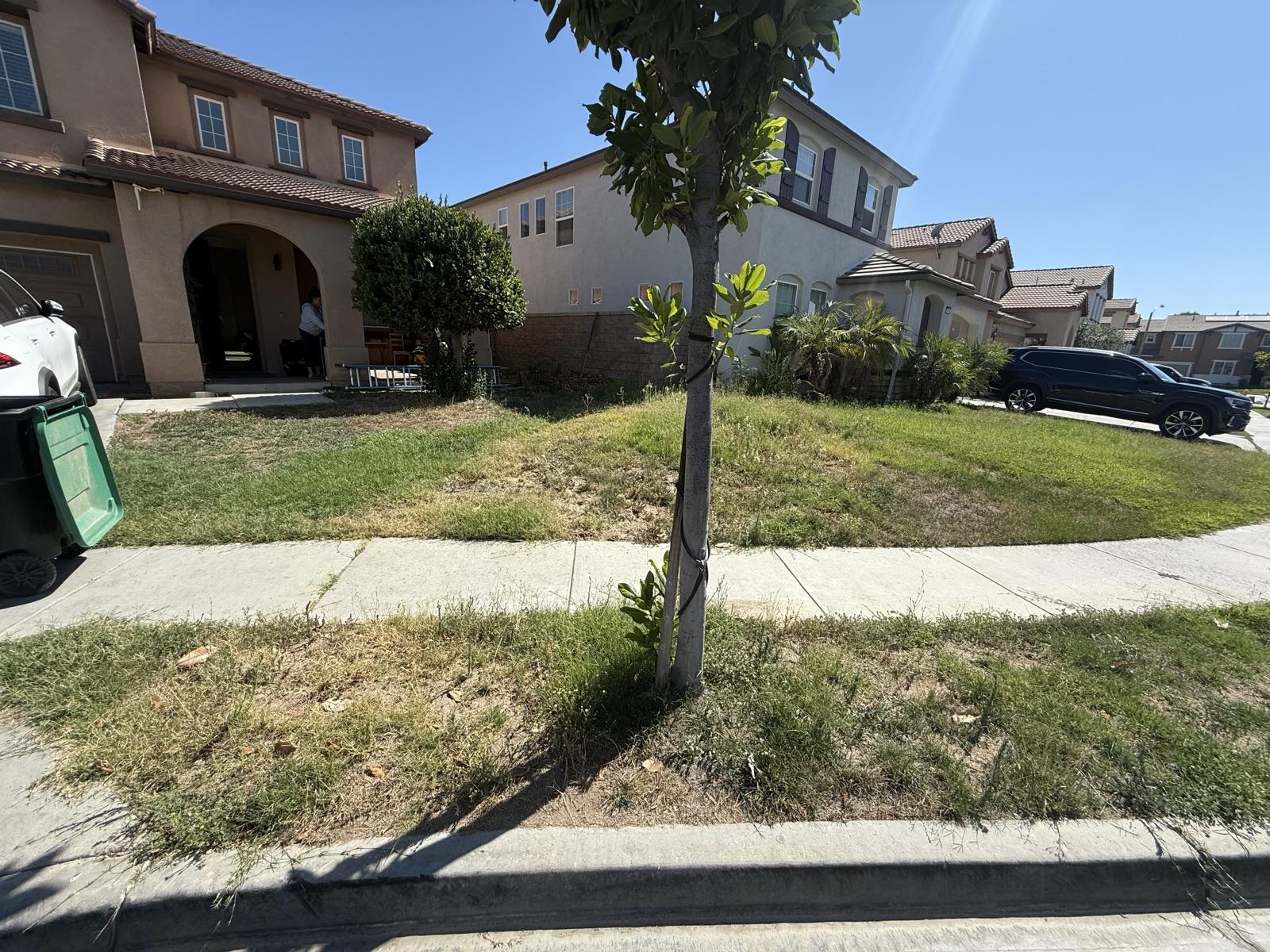 Genuine Green Care Landscaping — project photo 1