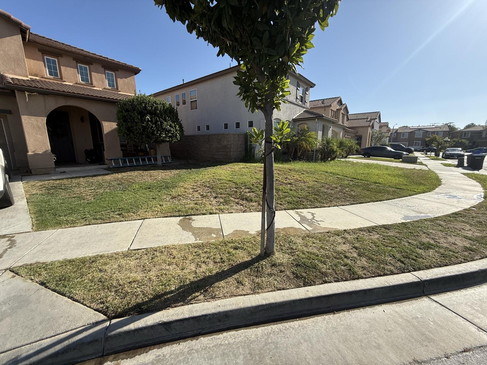 Genuine Green Care Landscaping — project photo 2