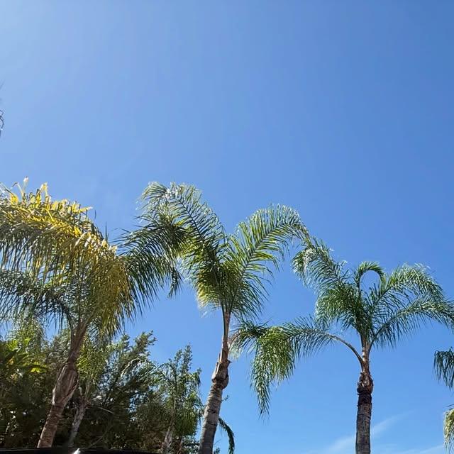 Genuine Green Care Landscaping — project photo 1