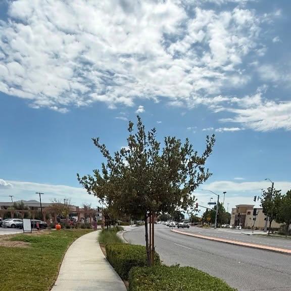 Genuine Green Care Landscaping — project photo 7