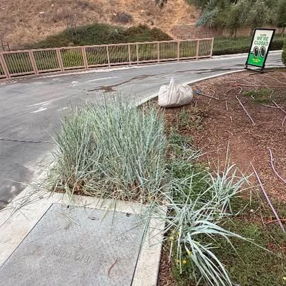 Genuine Green Care Landscaping — project photo 5